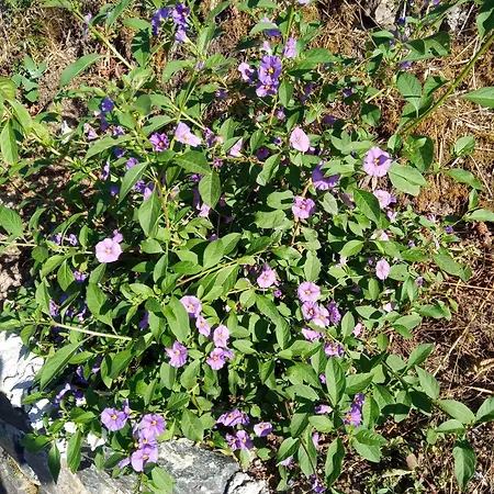 U Muinettu ファームステイ ラ・スペツィア