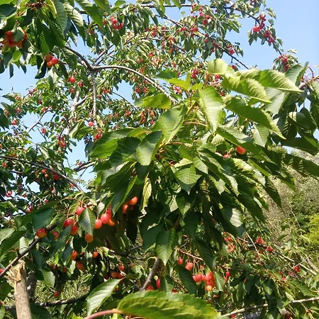 U Muinettu ラ・スペツィア