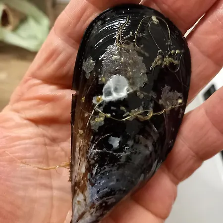 U Muinettu ファームステイ ラ・スペツィア