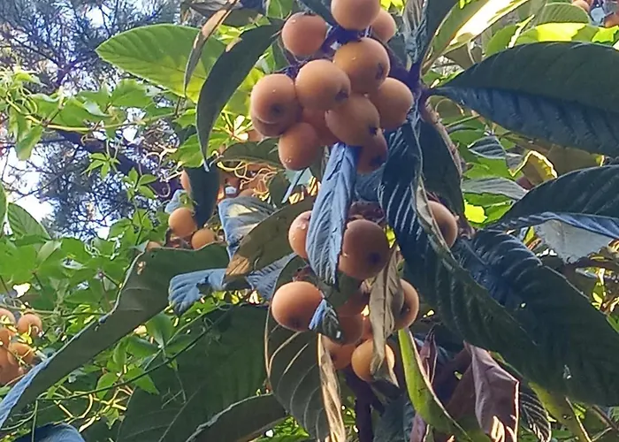 U Muinettu La Spezia