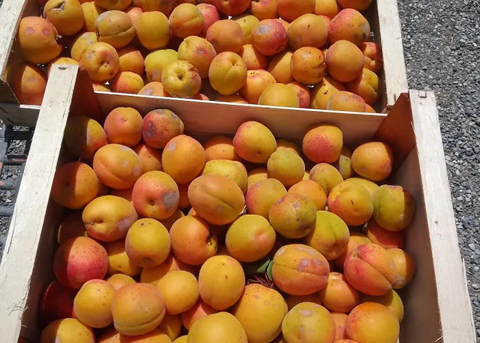 Farm stay U Muinettu La Spezia