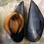 U Muinettu * 라스페치아