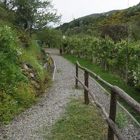 U Muinettu Séjour à la ferme *