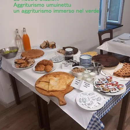 U Muinettu