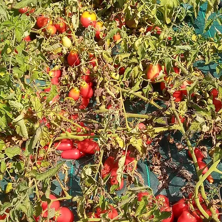 U Muinettu * La Spezia