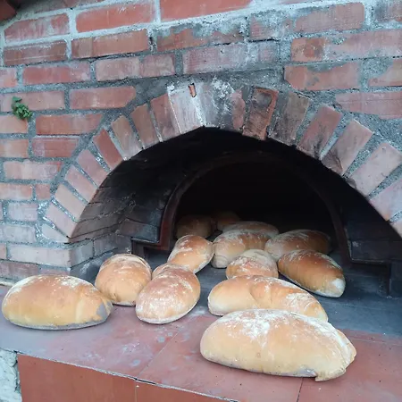 U Muinettu