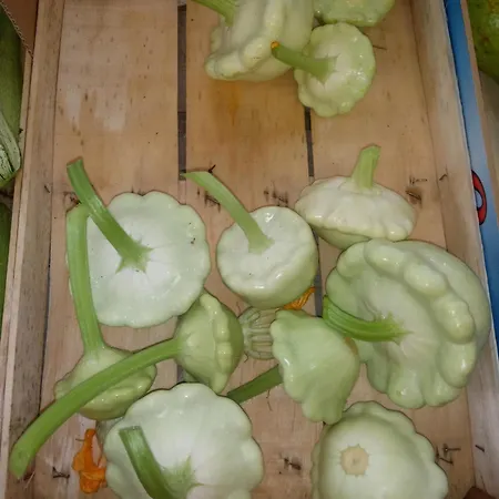 U Muinettu Farm stay