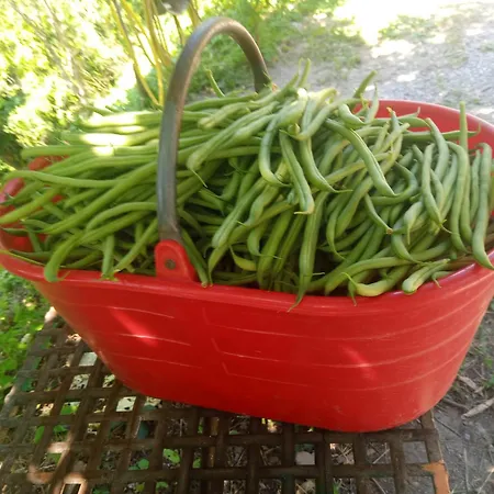 Gospodarstwo agroturystyczne U Muinettu *