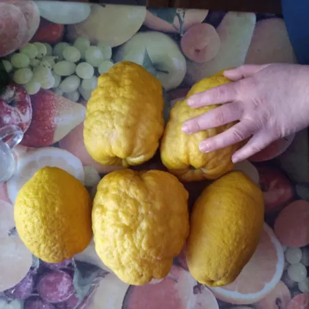 U Muinettu Farm stay