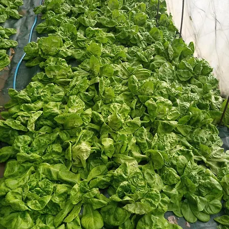 U Muinettu * La Spezia