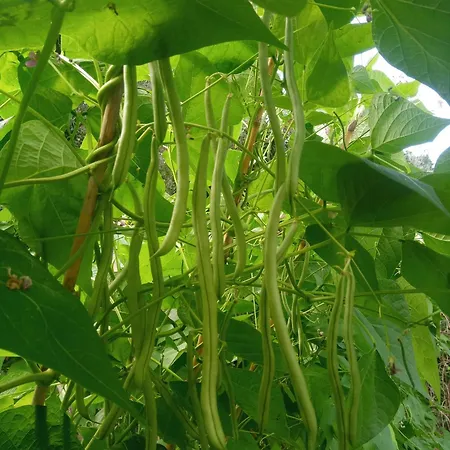 U Muinettu Farm stay