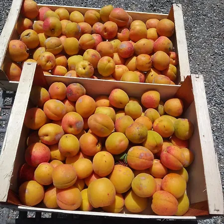 Séjour à la ferme U Muinettu La Spezia