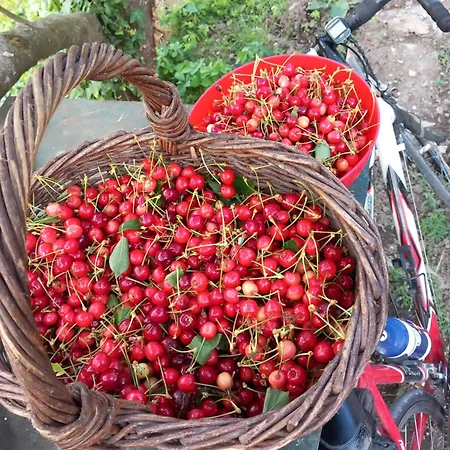 U Muinettu Gospodarstwo agroturystyczne