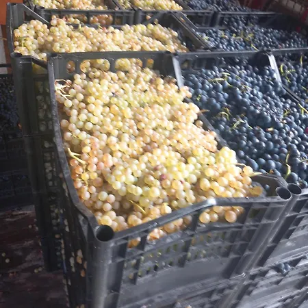 Gospodarstwo agroturystyczne U Muinettu