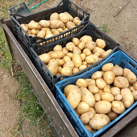 Gospodarstwo agroturystyczne U Muinettu La Spezia