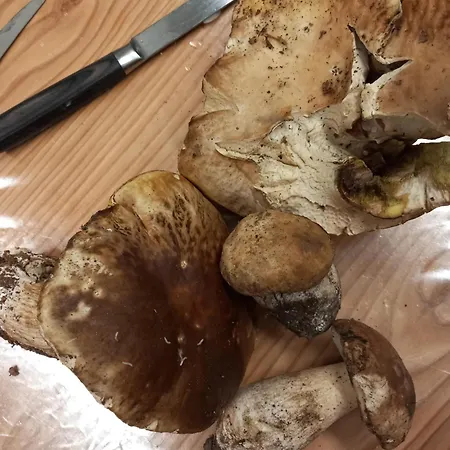 Séjour à la ferme U Muinettu La Spezia