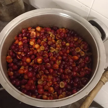 Gospodarstwo agroturystyczne U Muinettu La Spezia