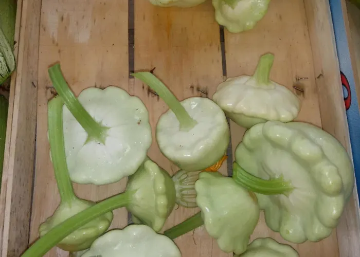 U Muinettu Agroturismo