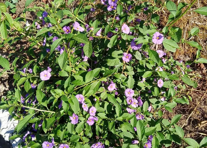 U Muinettu Agroturismo La Spezia