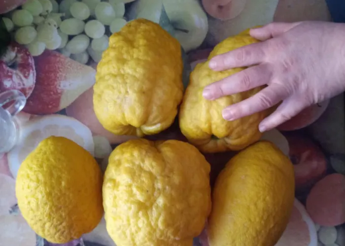 U Muinettu 农家乐