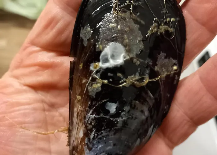 U Muinettu 农家乐 斯培西亚