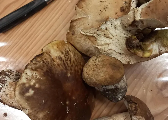 Agroturismo U Muinettu La Spezia