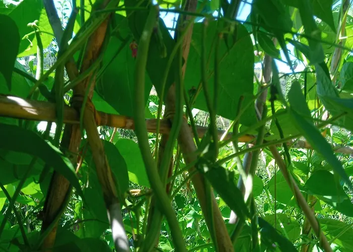 U Muinettu Agroturismo La Spezia