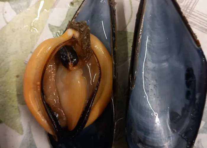 U Muinettu * 斯培西亚